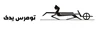 تومرس یدک